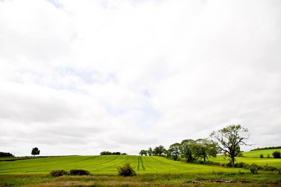 Bamflatt Farm Bed & Breakfast Strathaven Room photo